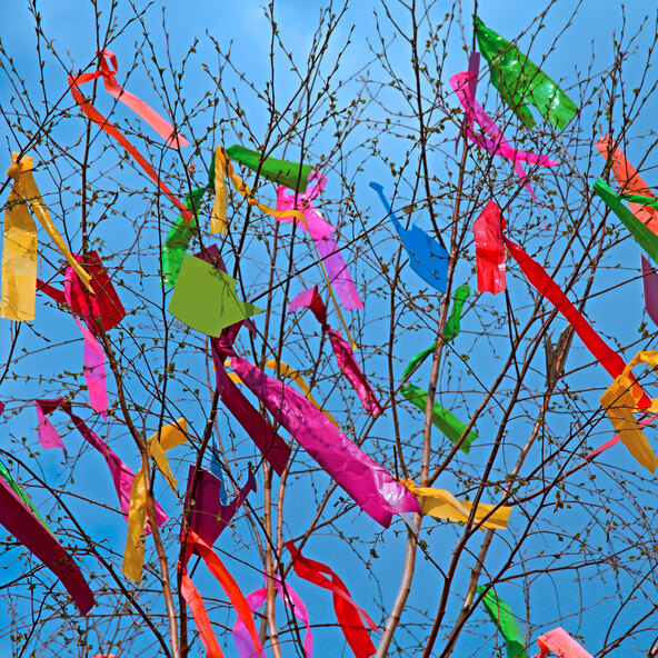 Maibaum „I like you“