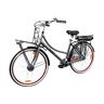 28" City-E-Bike Rosendaal 3 Lady, grau