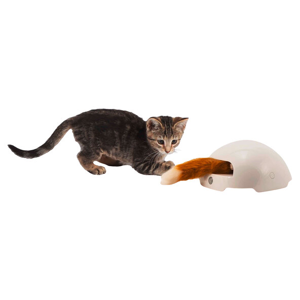 Ein automatisches Katzenspielzeug Fox Den in Form eines Fuchsbaues. Aus dem Eingang lugt eine Federangel heraus, die Katzen zum Spielen animiert.
