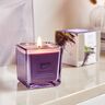 Duftkerze ESSENTIALS lavender touch, 6er Set