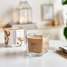 Duftkerze ESSENTIALS cedar wood, 6er Set