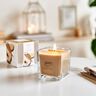 Duftkerze ESSENTIALS cedar wood, 6er Set