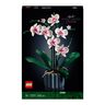 Icons Orchidee 10311