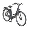 E-Bike Geniesser 1.0 28"