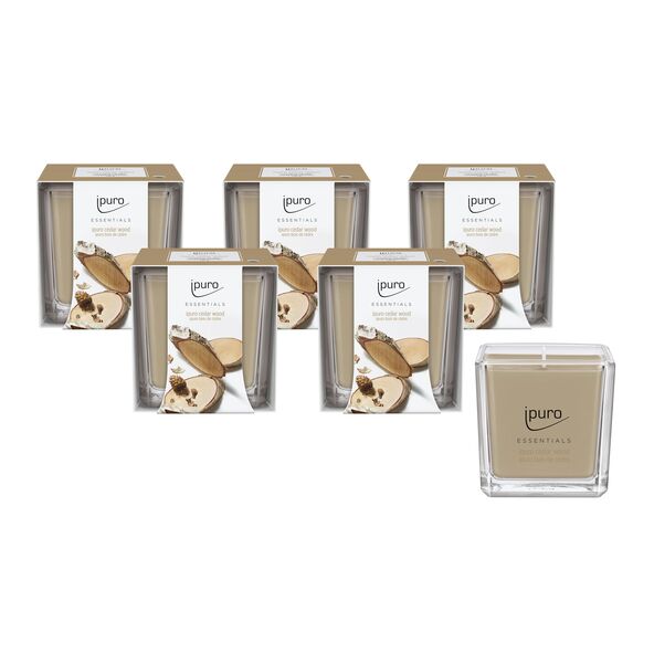 Duftkerze ESSENTIALS cedar wood, 6er Set