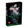 Icons Orchidee 10311