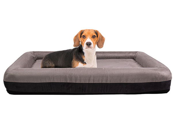 Hundebett