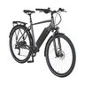 Trekking E-Bike Entdecker 1.3 Premium, Herren