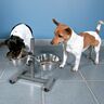 Hundebar, Edelstahl/Metall, ø 24 cm