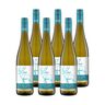 Riesling QbA, 6 Flaschen à 0,75 l