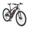 29" E-Mountainbike Graveler, 8-Gang