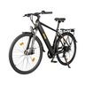 Trekking E-Bike TMR 7030