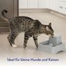 Heller Trinkbrunnen Drinkwell für Hunde und Katzen aus Kunststoff mit abnehmbarem Deckel und Wasserlauf, der in ein Becken fließt.
