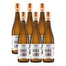 Riesling 2022, 6 Flaschen à 0,75 l
