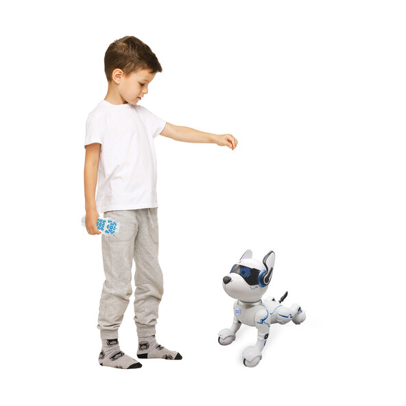 Power Puppy, Roboterhund mit Programmierfunktion