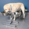 Hundebar, Edelstahl/Metall, ø 21 cm
