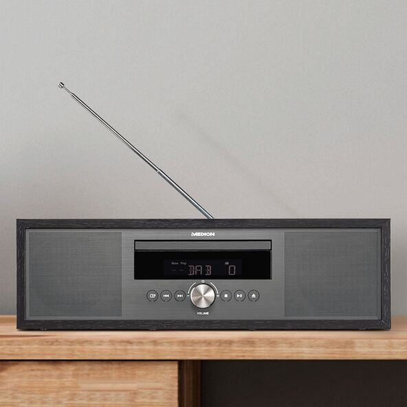 All-in-One Audio System P64145 (MD44125)