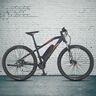 29" E-Mountainbike Graveler, 8-Gang