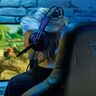 Stereo Gaming-Headset Mage P10 (MD88640)