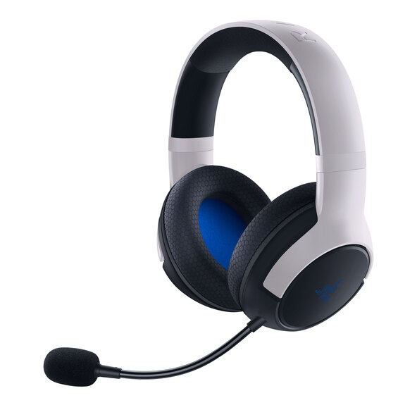 Schnellladestation & Headset für Playstation 5