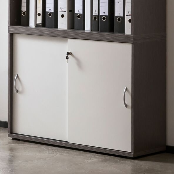 Serie 4000 Aktenschrank 4700, esche grau/weiß matt