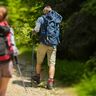 Faltbarer Wanderstock, blau