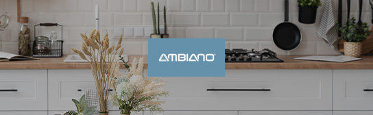 Header für Eigenmarken_ALDI_Onlineshop_Active_Ambiano_544x168px_xs.jpg