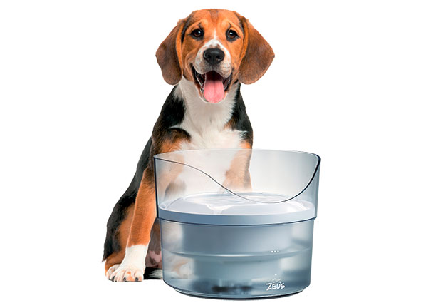 Trinkbrunnen Fresh & Clear mit Spritzschutz