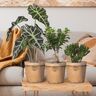 Keramik-Blumentopf 3er Set Ø 16 cm, Toscana Luminoso