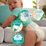 Baby Dry, Gr. 3 Midi, Maxi Pack, 2er Set