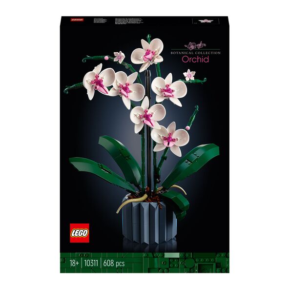Icons Orchidee 10311