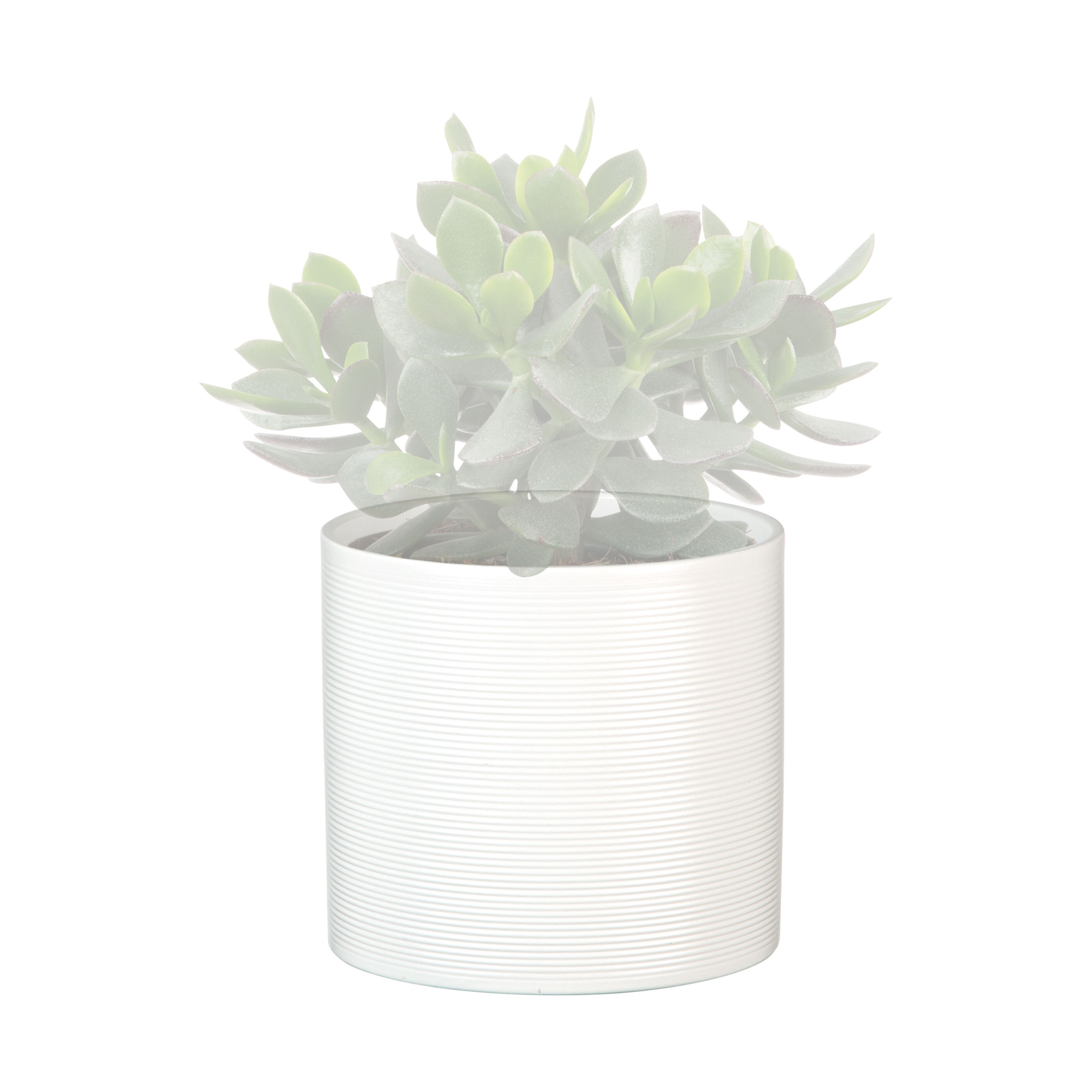 Scheurich Keramik Blumentopf, 3er Set ALDI ONLINESHOP