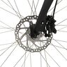28" Fixie E-Bike Vincitori