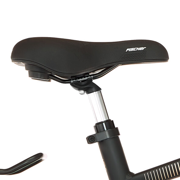 Trekking E-Bike VIATOR 4.2I 522, 55 cm
