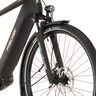 Trekking E-Bike VIATOR 4.2I 522, 55 cm