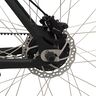 28" Fixie E-Bike Vincitori