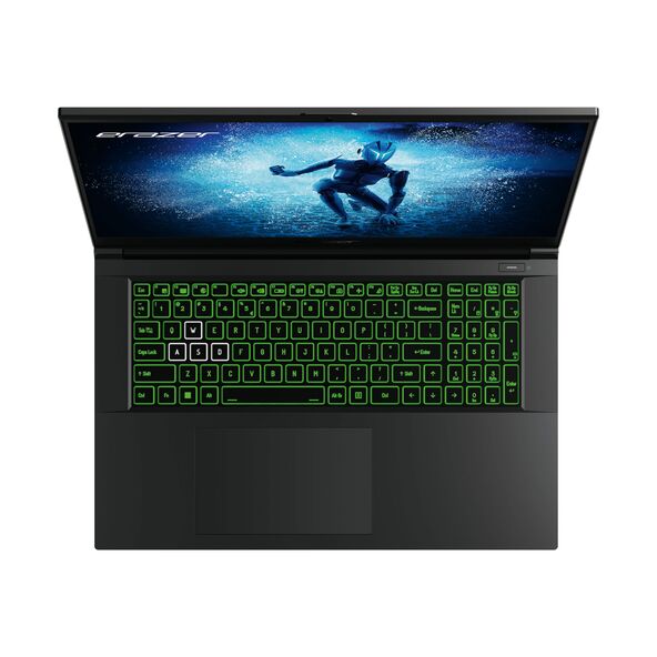 17" Gaming Laptop Defender P50, RTX 4060