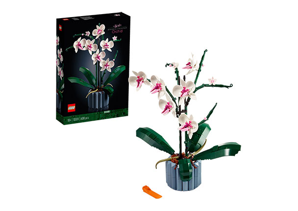 Icons Orchidee 10311