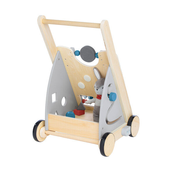 Activity-Lauflernwagen Titus, grau