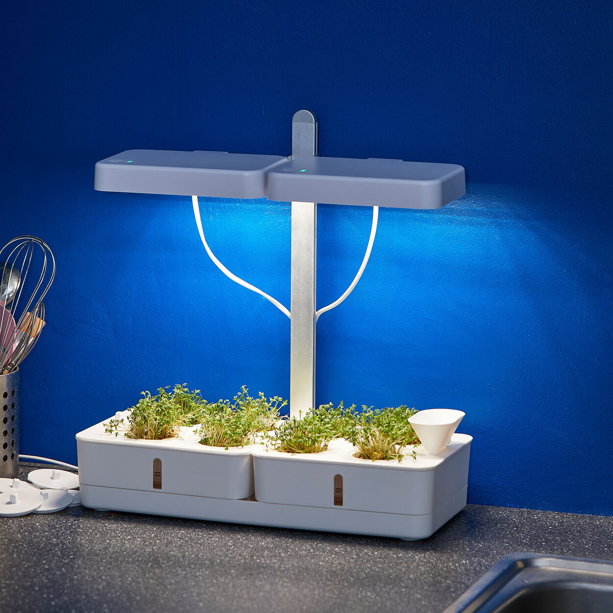 Northpoint LEDPflanzenleuchte, 2 Strahler ALDI