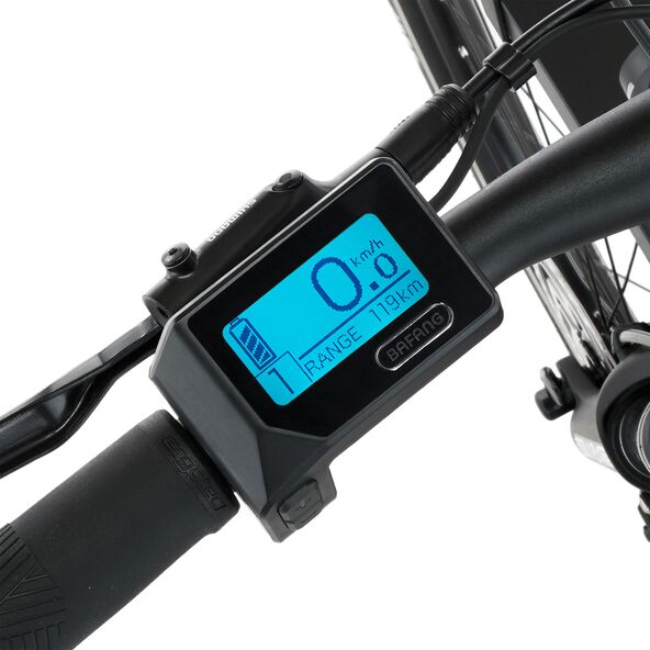 Trekking E-Bike VIATOR 4.2I 522, 55 cm