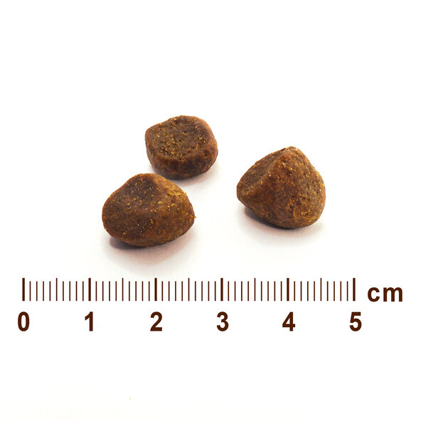 Premium Hunde-Trockenfutter Wild Roots, 4 x 2 kg, Huhn & Pute