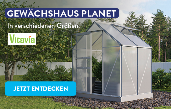 50_50_Header_ALDI_Onlineshop_Portal_602x381px_lg.png